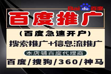 百度竞价价格解析，成功案例分享